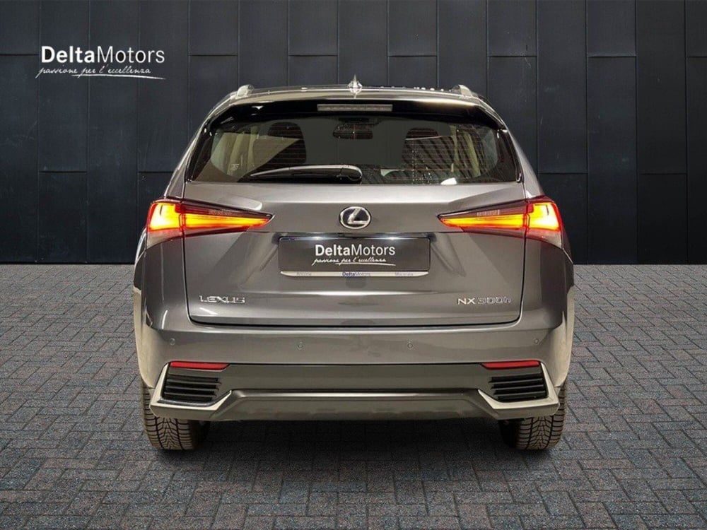 Lexus NX usata a Macerata (6)