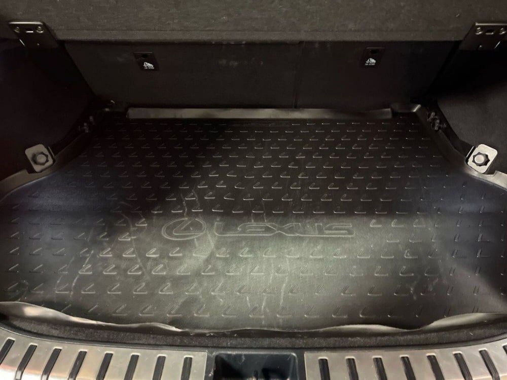 Lexus NX usata a Macerata (7)