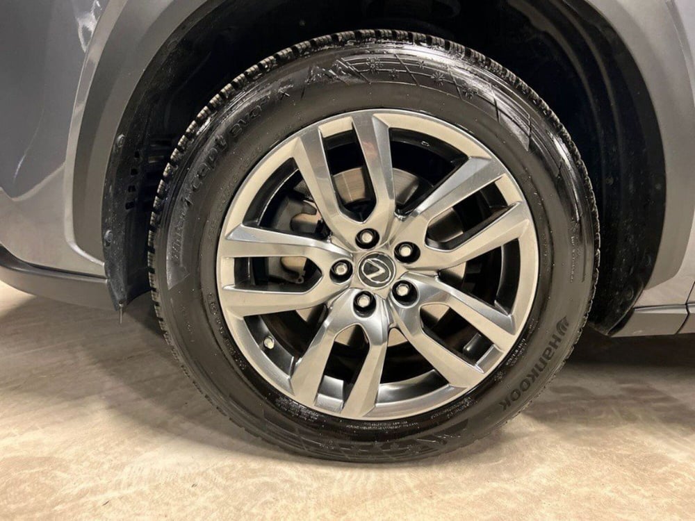 Lexus NX usata a Macerata (8)