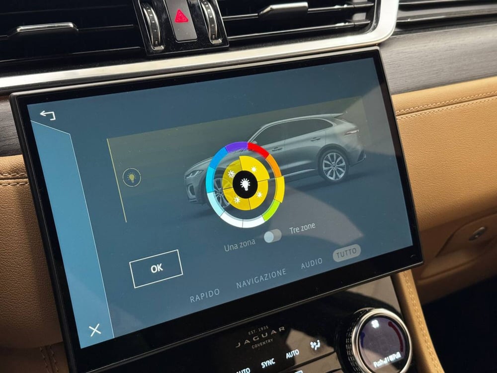 Jaguar F-Pace usata a Savona (12)