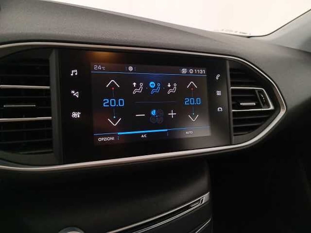 Peugeot 308 SW usata a Venezia (14)