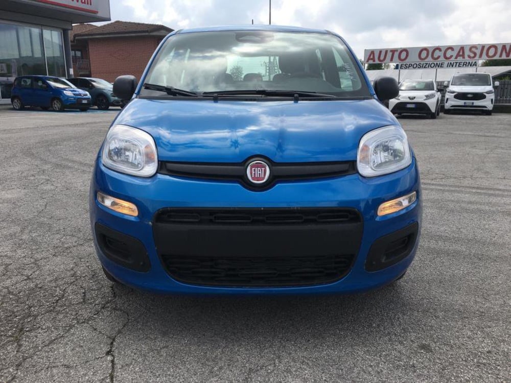 Fiat Panda Cross nuova a Cuneo (5)