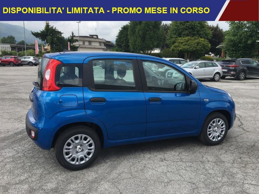 Fiat Panda nuova a Cuneo (3)