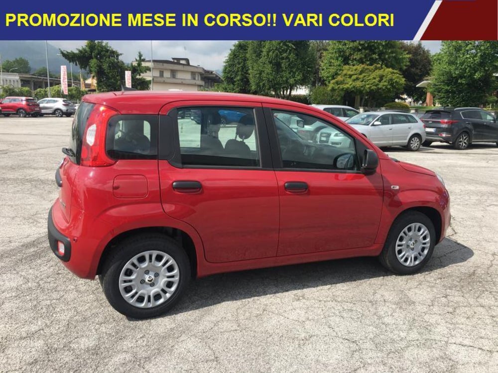 Fiat Panda nuova a Cuneo (3)
