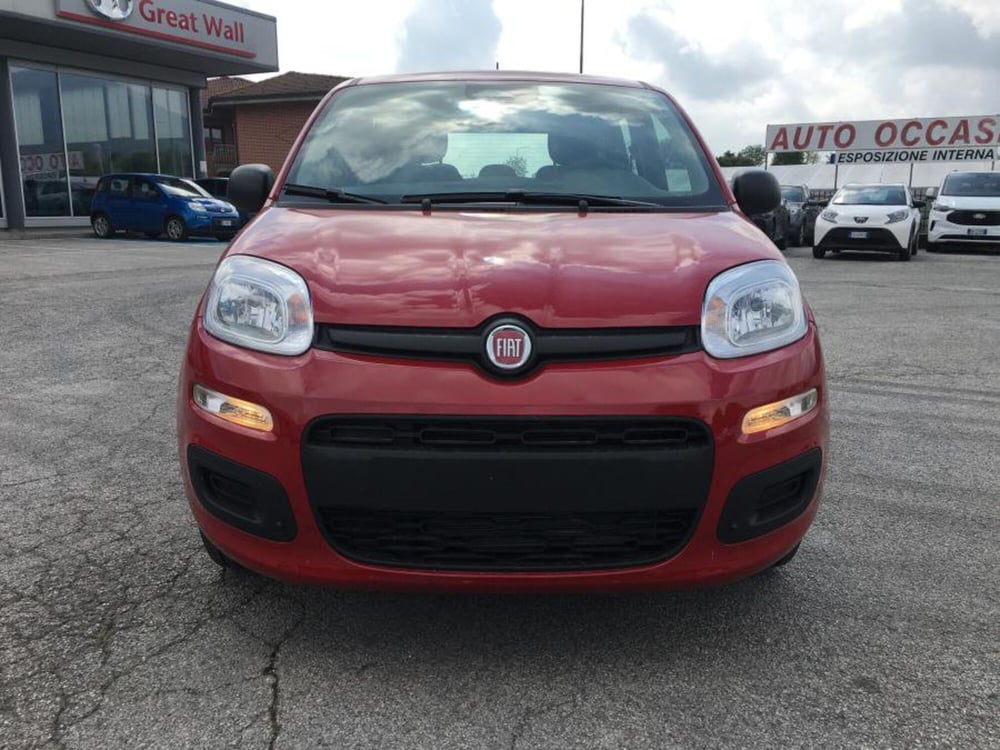 Fiat Panda nuova a Cuneo (6)