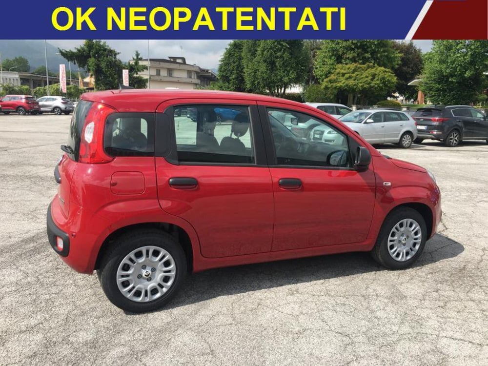 Fiat Panda Cross nuova a Cuneo (3)