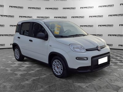 Fiat Panda Cross Cross 1.0 FireFly S&amp;S Hybrid nuova a Fidenza