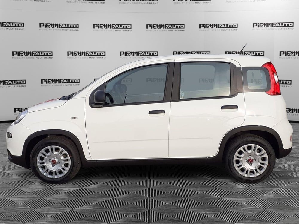 Fiat Panda Cross nuova a Parma (4)