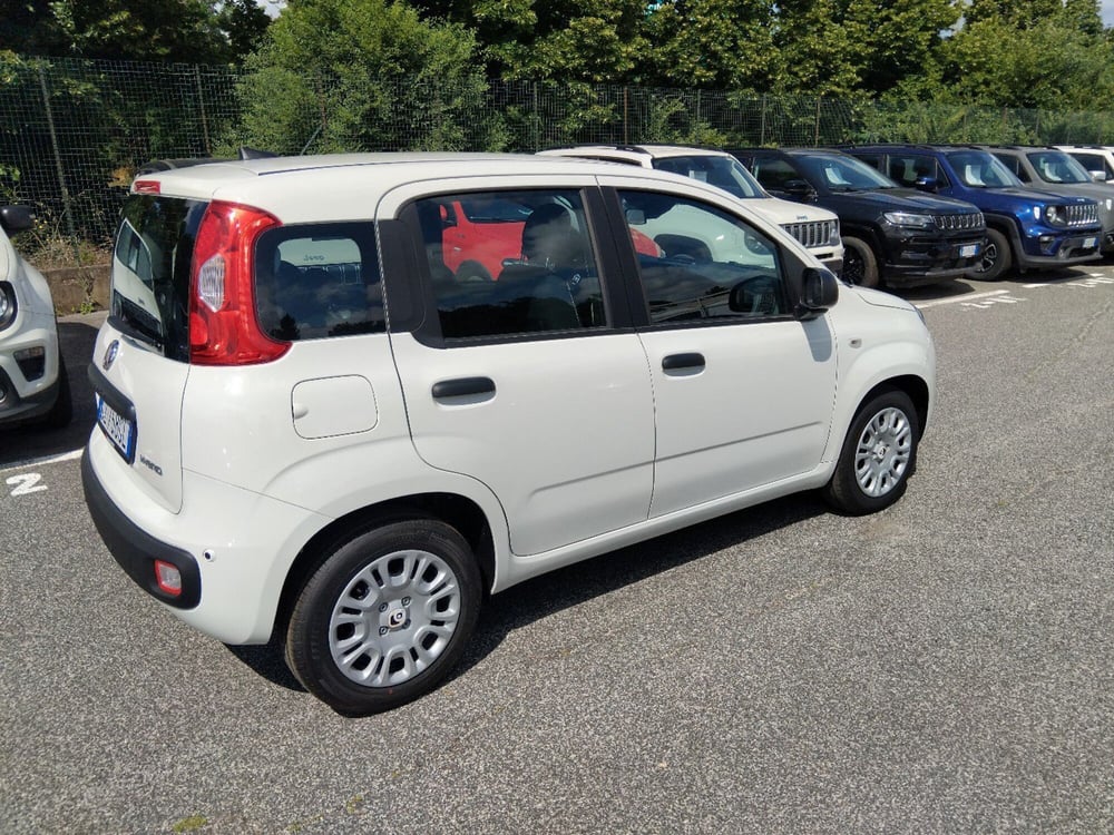 Fiat Panda nuova a Roma (6)