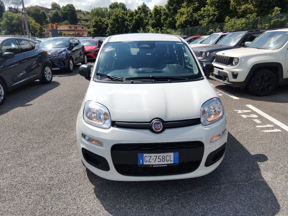 Fiat Panda nuova a Roma (7)