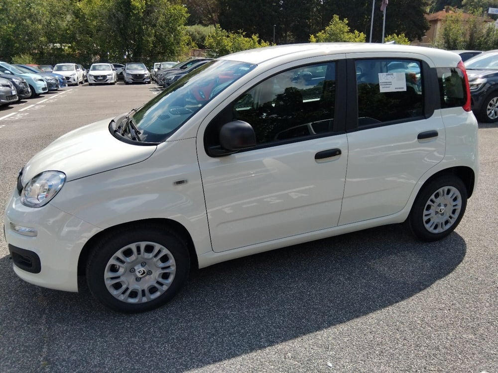 Fiat Panda nuova a Roma (8)