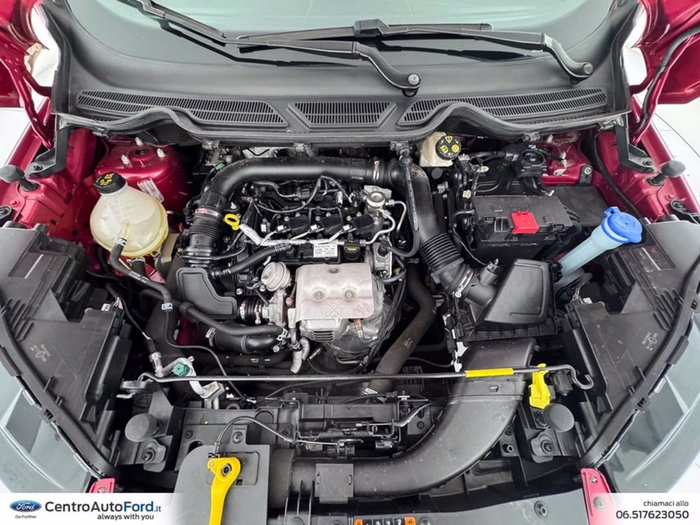 Ford EcoSport usata a Roma (12)
