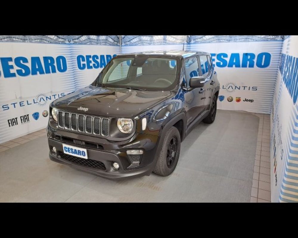 Jeep Renegade usata a Aosta (2)