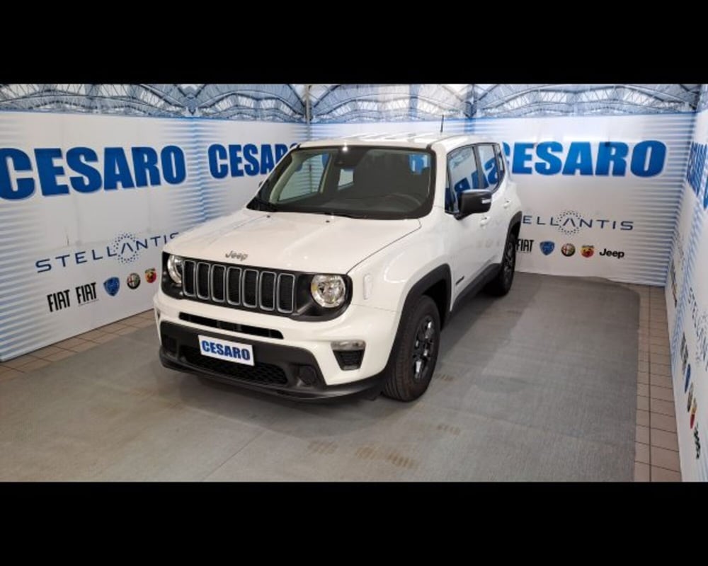 Jeep Renegade usata a Aosta (2)