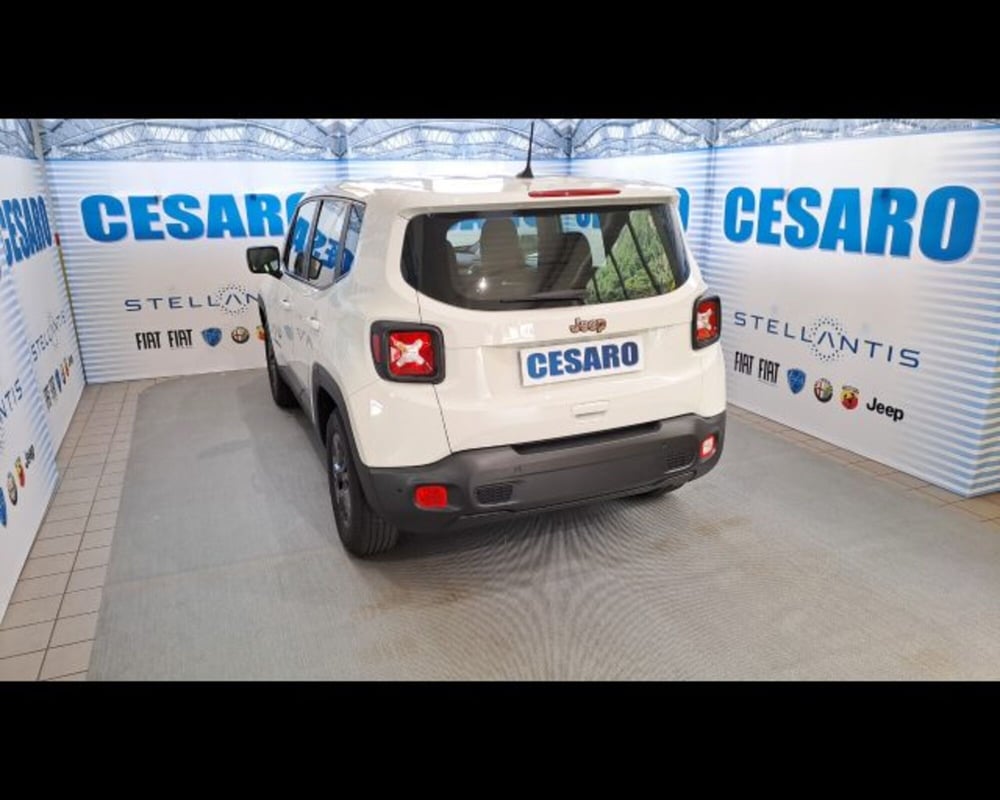 Jeep Renegade usata a Aosta (3)