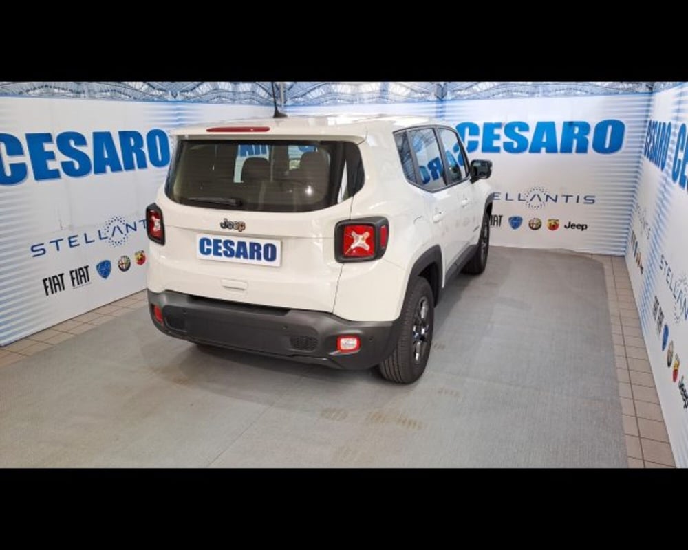 Jeep Renegade usata a Aosta (4)