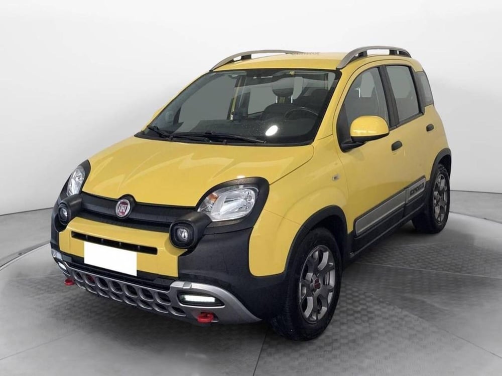 Fiat Panda usata a Torino