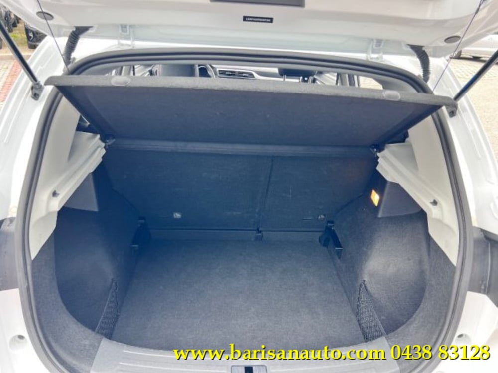 Mg ZS usata a Treviso (8)