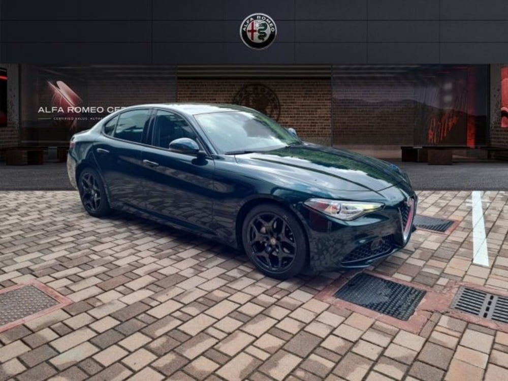 Alfa Romeo Giulia usata a Monza e Brianza (3)