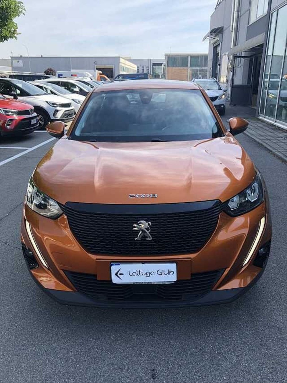 Peugeot 2008 usata a Ravenna (2)