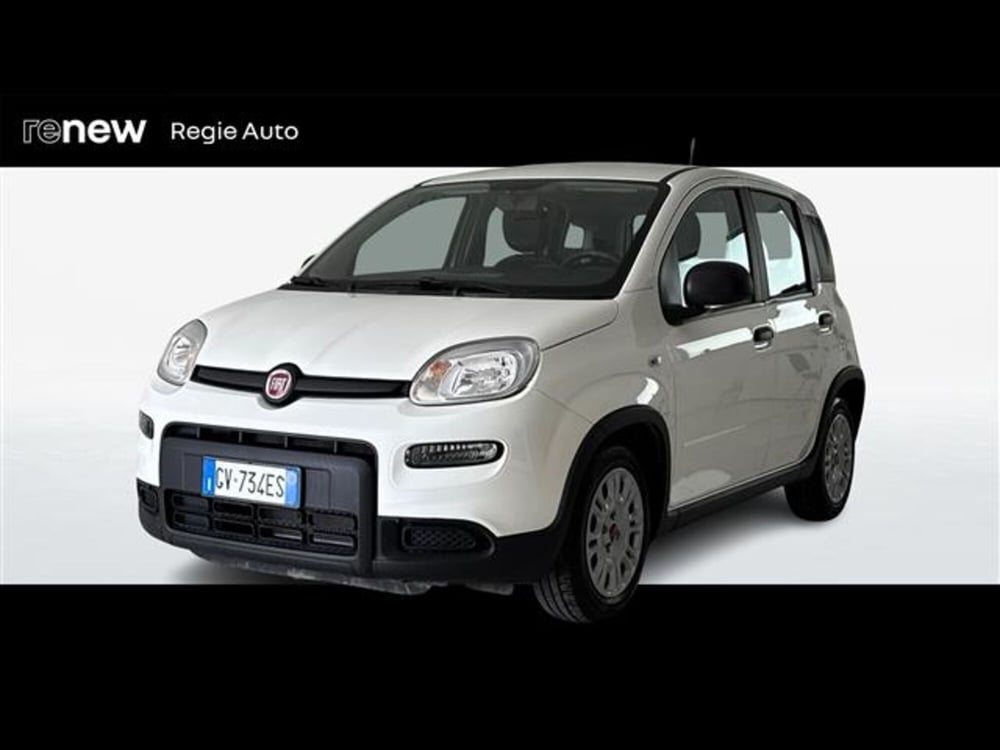 Fiat Panda usata a Viterbo