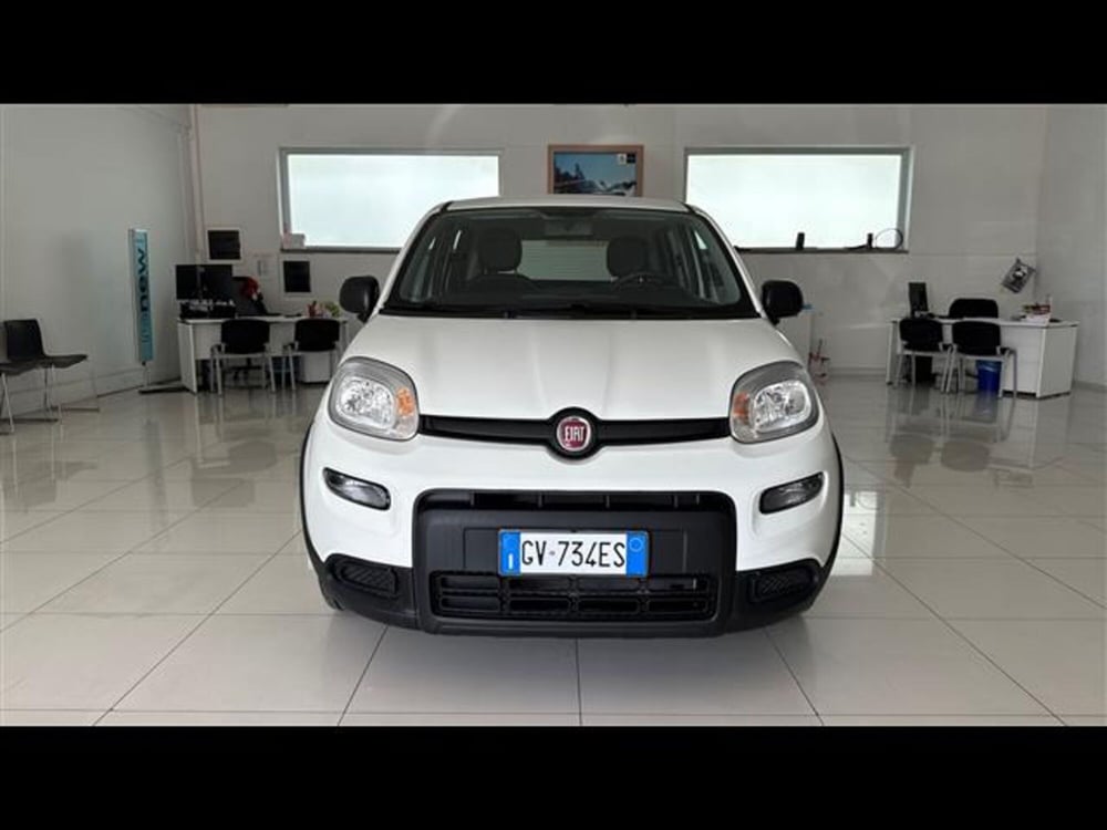 Fiat Panda usata a Viterbo (2)