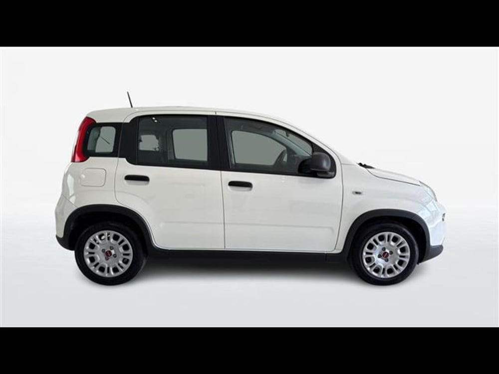 Fiat Panda usata a Viterbo (3)