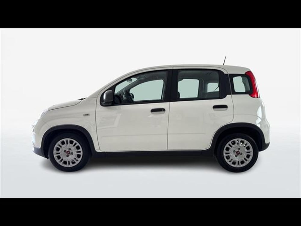 Fiat Panda usata a Viterbo (4)