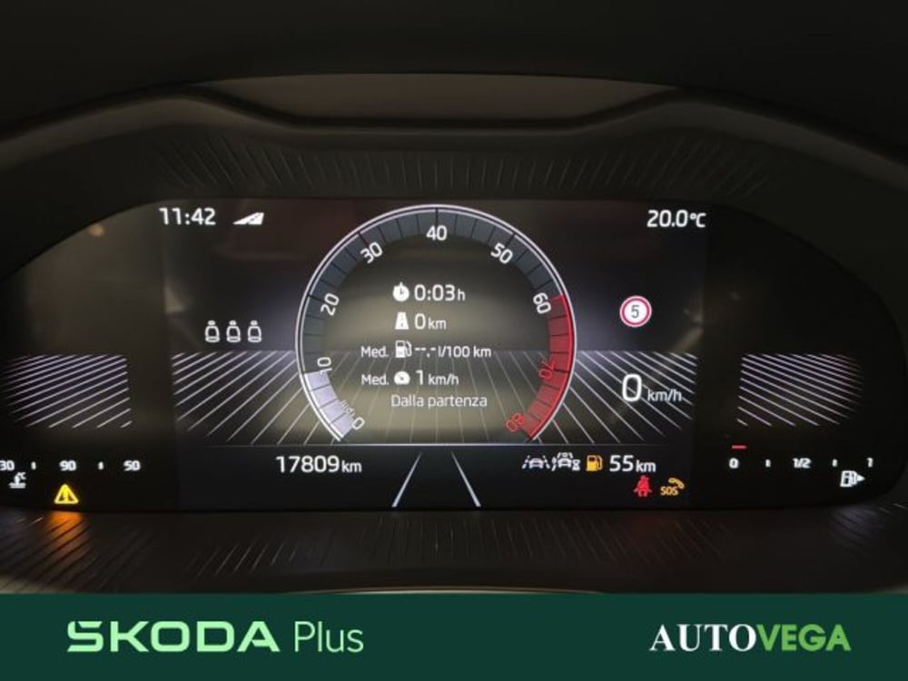 Skoda Kamiq usata a Vicenza (11)