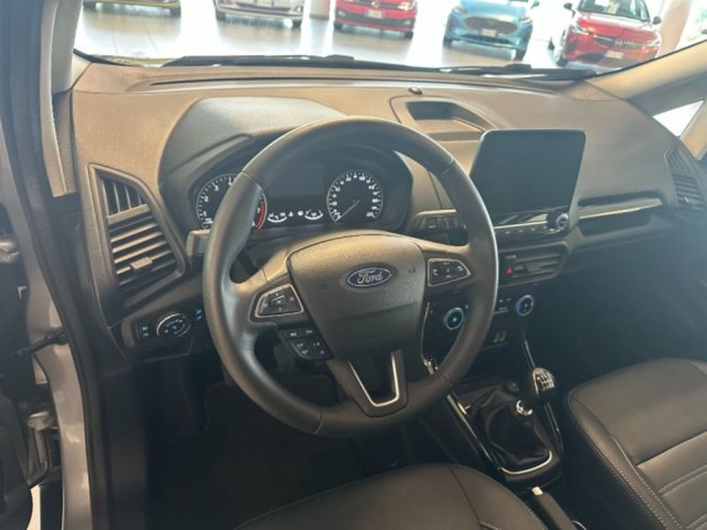 Ford EcoSport usata a Cuneo (9)