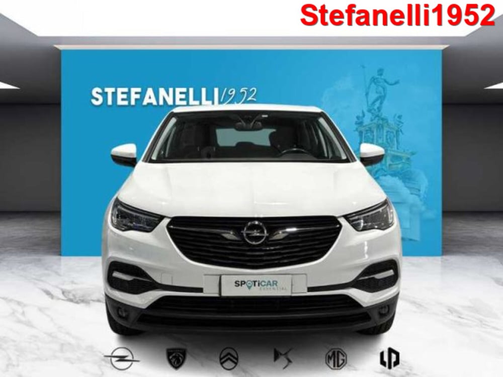 Opel Grandland X usata a Bologna (2)