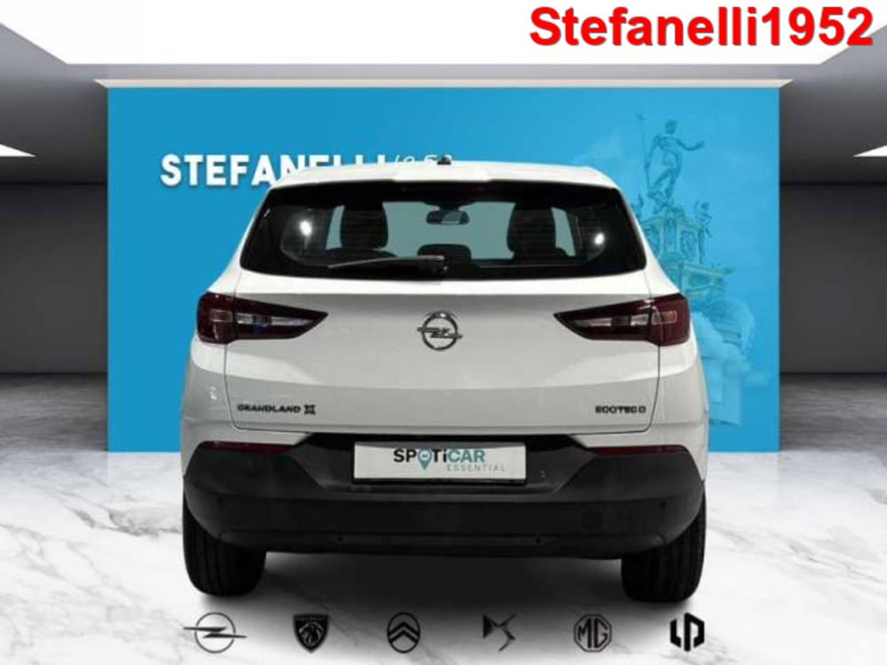 Opel Grandland X usata a Bologna (6)