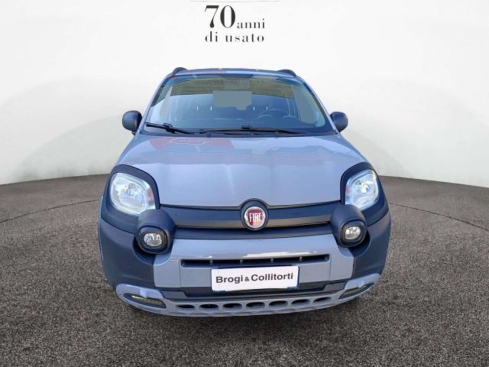 Fiat Panda usata a Firenze (2)