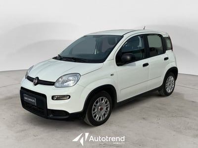 Fiat Panda Cross Cross 1.0 FireFly S&amp;S Hybrid del 2023 usata a Bari