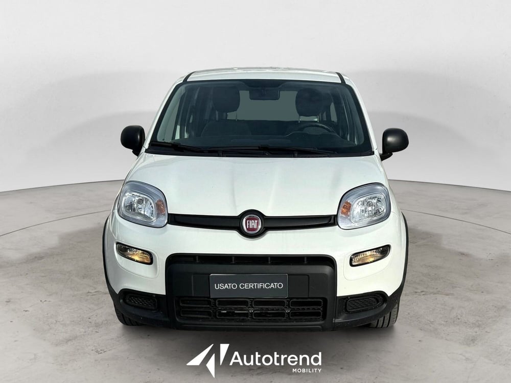 Fiat Panda Cross usata a Bari (3)