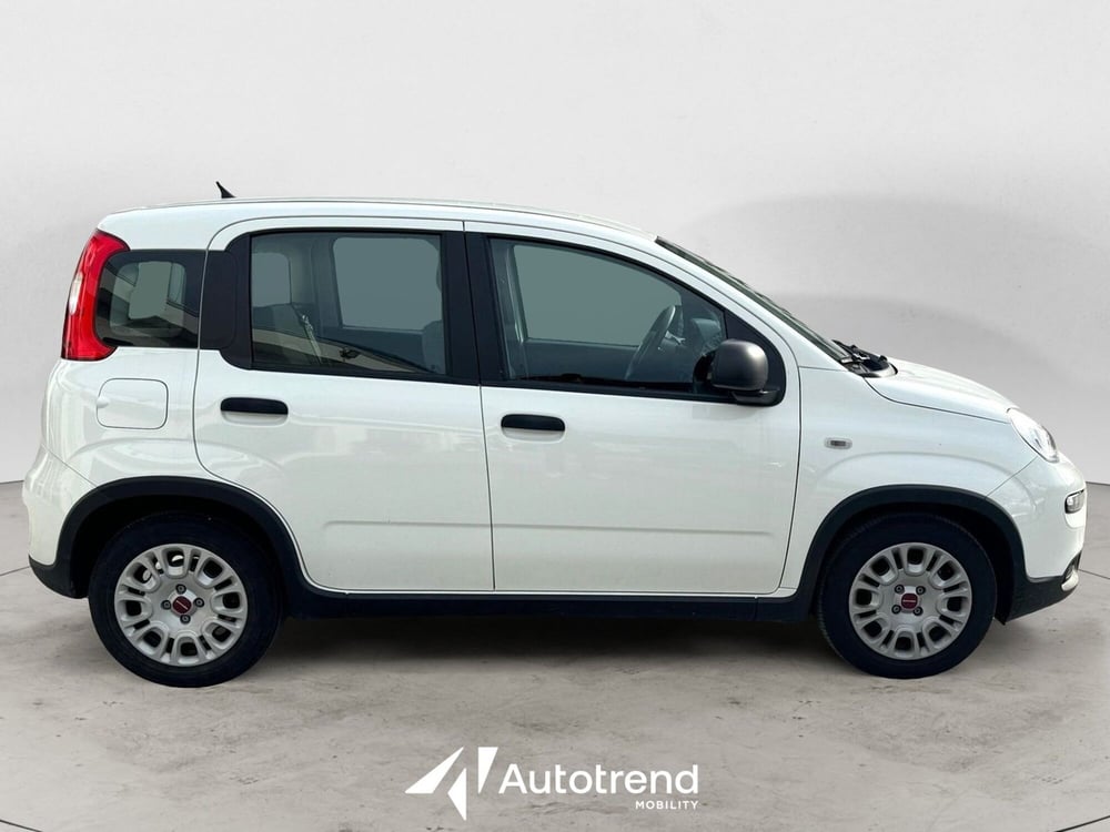 Fiat Panda Cross usata a Bari (5)