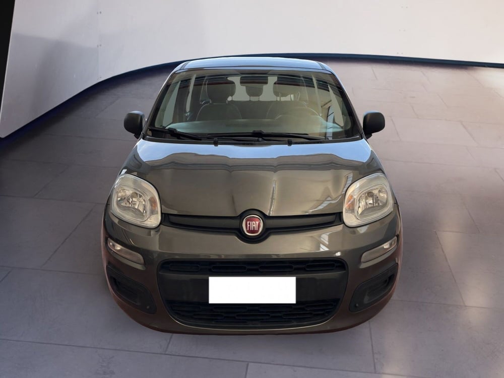 Fiat Panda usata a Torino