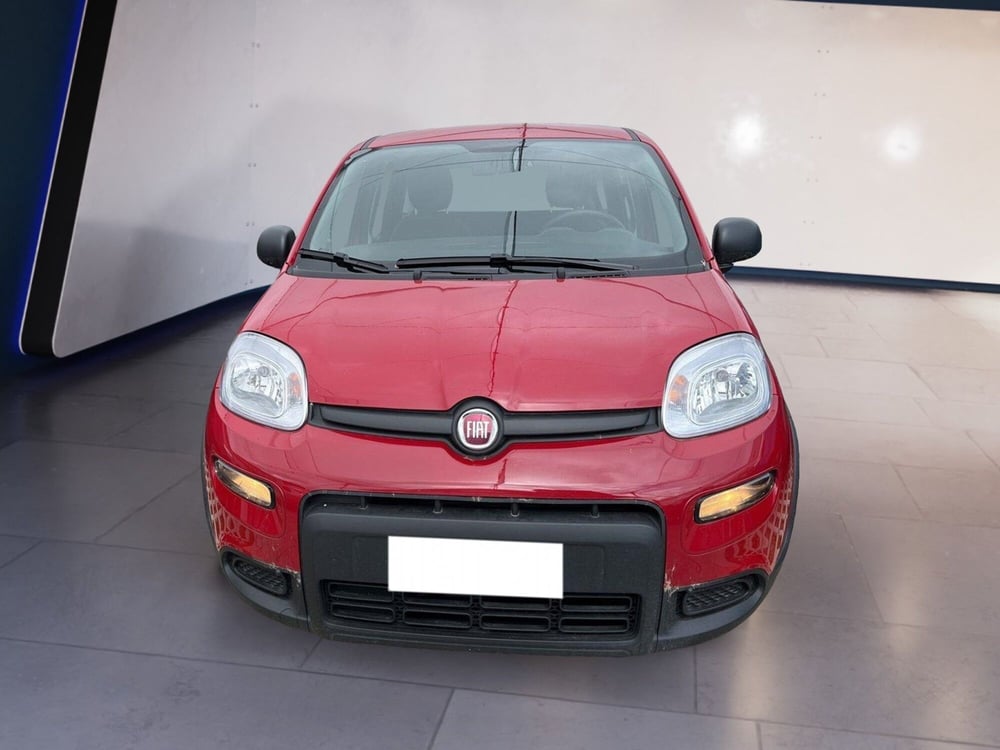 Fiat Panda usata a Torino