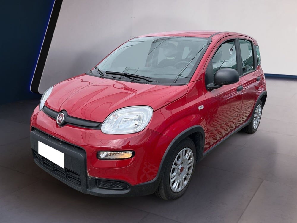 Fiat Panda usata a Torino (2)