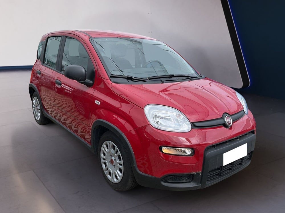Fiat Panda usata a Torino (3)