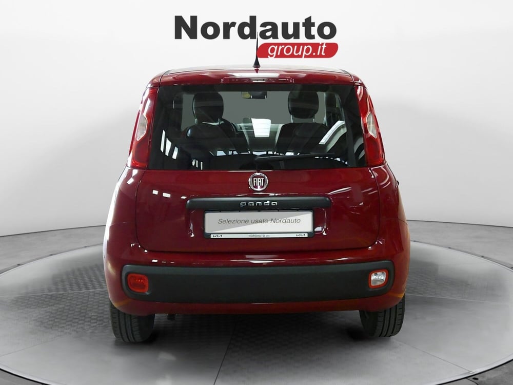 Fiat Panda usata a Treviso (6)