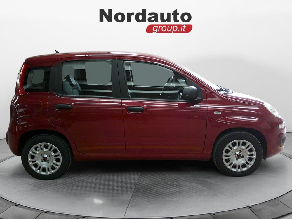 Fiat Panda usata a Treviso (8)