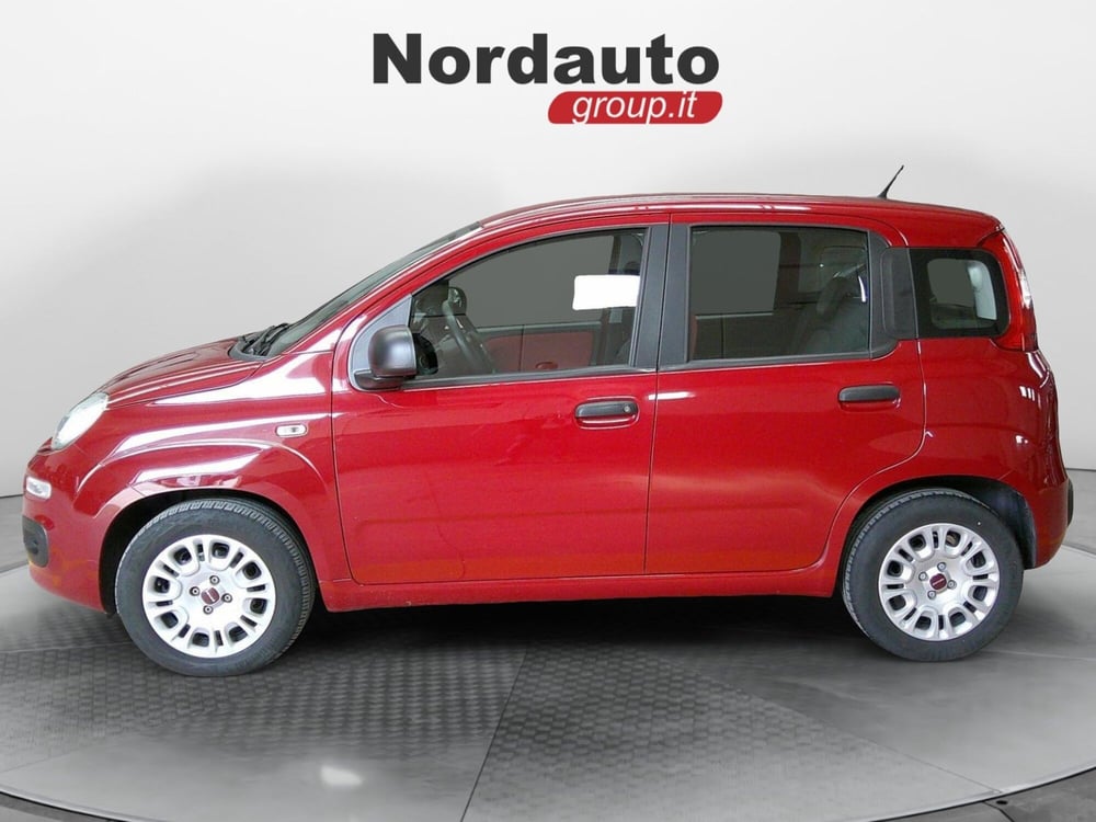 Fiat Panda usata a Treviso (9)
