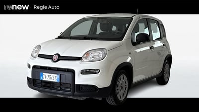 Fiat Panda 1.0 firefly hybrid s&amp;s 70cv 5p.ti del 2024 usata a Viterbo