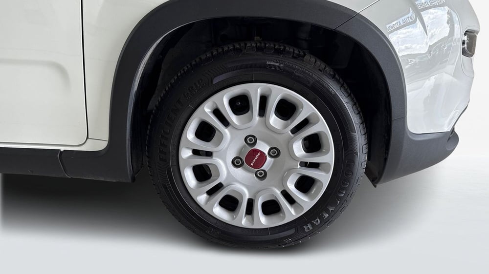 Fiat Panda usata a Viterbo (18)
