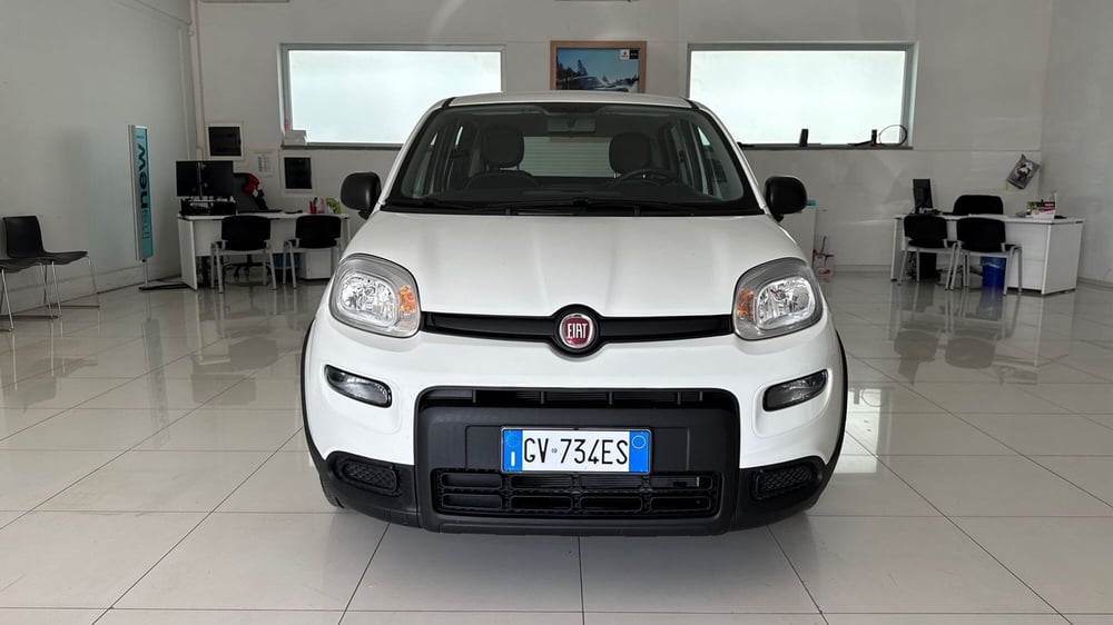 Fiat Panda usata a Viterbo (2)