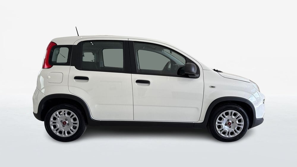 Fiat Panda usata a Viterbo (3)