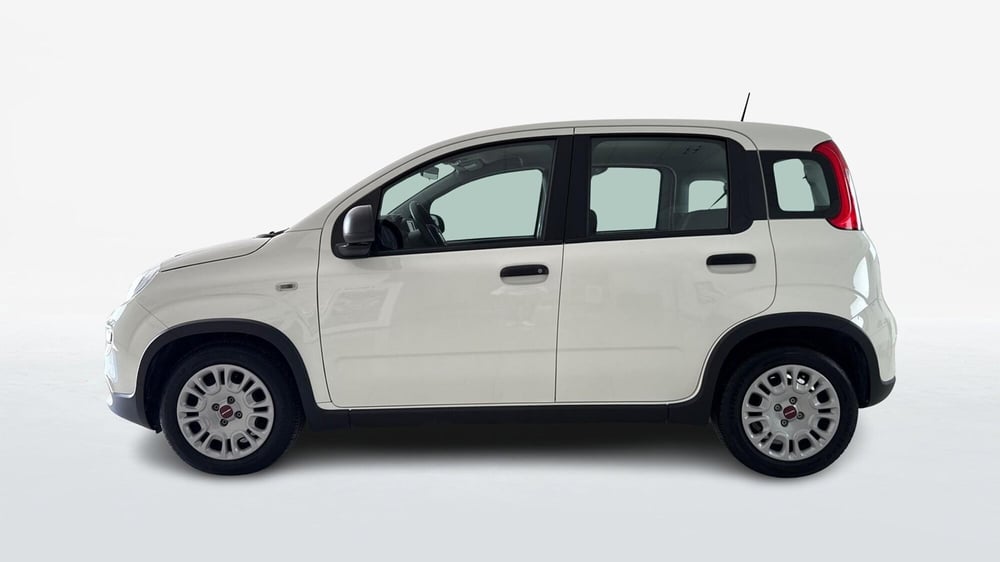Fiat Panda usata a Viterbo (4)