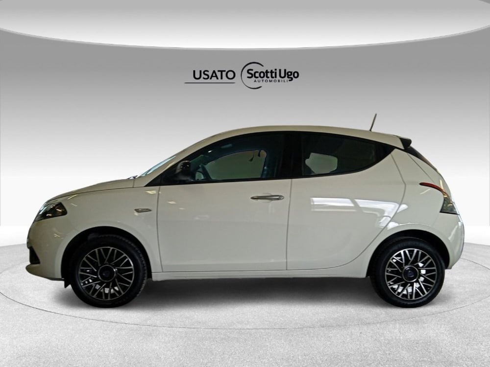 Lancia Ypsilon usata a Siena (5)