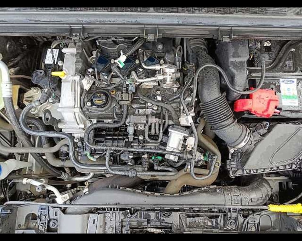 Ford Puma usata a Roma (4)